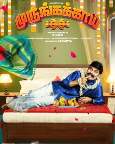 முருங்கக்காய்