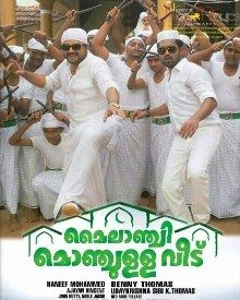 മൈലാഞ്ചി മൊഞ്ചുള്ള വീട്‌