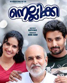 നെല്ലിക്ക