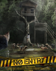 No Entry