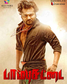 பாம்புச் சட்டை