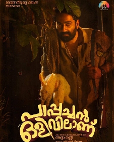 പാപ്പച്ചന്‍ ഒളിവിലാണ്