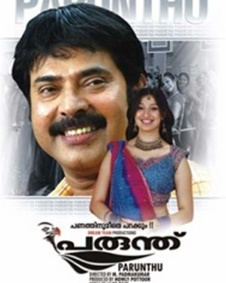 പരുന്ത്