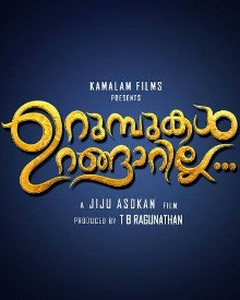 ഉറുമ്പുകൾ ഉറങ്ങാറില്ല