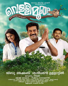 വെള്ളിമൂങ്ങ