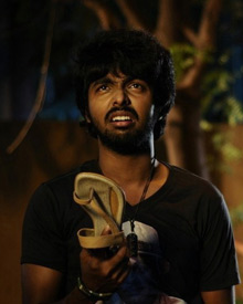 வெர்ஜின் மாப்ள