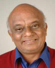 ಗೋಪಾಲರಾವ್ ವಿಜಯಸಾರಥಿ