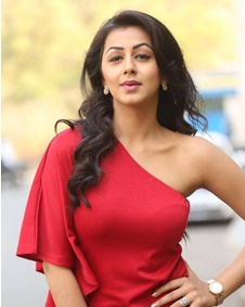 നിക്കി ഗൽറാണി