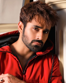 पर्ल वी पूरी