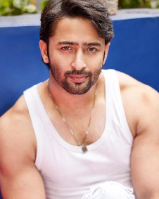 शाहिर शेख