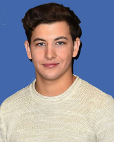 டை ஷெரிடன்