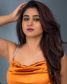 वर्षिणी सौंदराजन