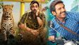 Pati Patni Aur Woh Do BO Day2 ; ಕಾರ್ತಿಕ್ ಆರ್ಯನ್ ಮ್ಯಾಜಿಕ್ ರಿಪೀಟ್ ಮಾಡ್ಲಿಲ್ಲ ಆಯುಷ್ಮಾನ್-2 ದಿನದಲ್ಲಿ ಗಳಿಸಿದ್ದೆಷ್ಟು ?