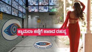 ಬಿಗ್ ಬಾಸ್‌ನಲ್ಲಿ ಎಣ್ಣೆ, ಸಿಗರೇಟ್ ; ಬಾತ್‌ ರೂಮ್‌ನಲ್ಲಿ ಪ್ರೇಮಿಗಳ ಕುಚ್ ಕುಚ್, ಮಹಾಸತ್ಯ  ಹೇಳಿದ  ಸ್ಫರ್ಧಿ