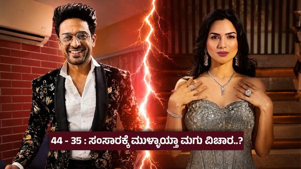 ಕಿರುತೆರೆಯ ಶಾರುಖ್ ಖಾನ್ ಸಂಸಾರದಲ್ಲಿ ಬಿರುಗಾಳಿ ; ಮುರಿದು ಬಿತ್ತು ಬಿಗ್ ಬಾಸ್‌ ವಿನ್ನರ್‌ನ 10 ವರ್ಷದ ದಾಂಪತ್ಯ