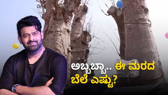 ಡಾರ್ಲಿಂಗ್ ಮನೆ ಸೇರಿದ ಅದೃಷ್ಟದ ಮರ; ಅಂಬಾನಿ ಆಗಿಬಿಡ್ತಾರಾ ಪ್ರಭಾಸ್?