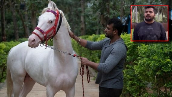 ದರ್ಶನ್ ಕುದುರೆ ಮಾರಾಟಕ್ಕೆ ಇಟ್ಟಿರೋದು ನಿಜವೇ? ಅಸಲಿ ಮ್ಯಾಟರ್ ಏನು? ಎಷ್ಟಕ್ಕೆ ಮಾರಾಟ?