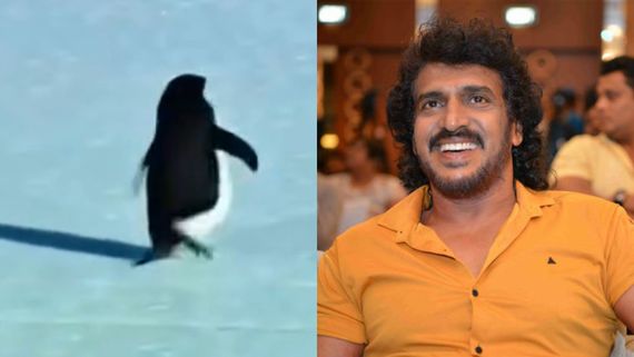 27 ವರ್ಷಗಳ ಹಿಂದೆ ನಮ್ಮ ಉಪೇಂದ್ರ ಹೇಳಿಬಿಟ್ಟಿದ್ರು ಒಂಟಿ ಪೆಂಗ್ವಿನ್ ಕಥೆ!
