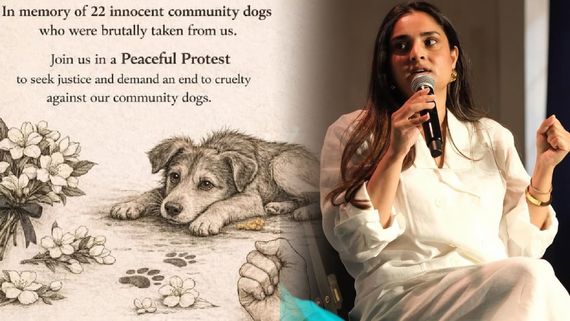 ರಕ್ತ ಕುದಿಯುತ್ತಿದೆ ; ಬೀದಿ ನಾಯಿಗಳ ಮೇಲಿನ ಕ್ರೌರ್ಯ ಕಂಡು ಕಣ್ಣೀರಾದ ರಮ್ಯಾ 
