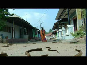 Nagapanchami Daily Soap Nagapanchami Daily Soap