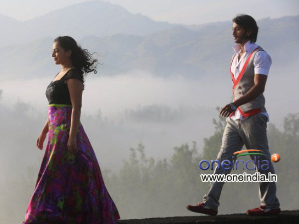 ಮೈನಾ' ಅದ್ಭುತ ದೃಶ್ಯ ಕಾವ್ಯ