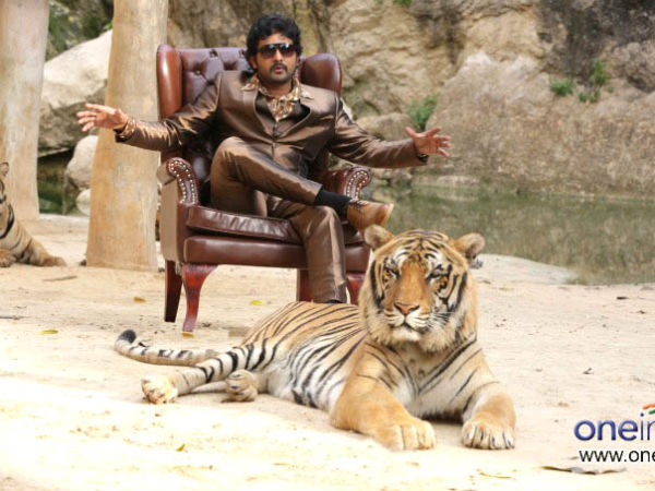 ಮತ್ತೇನಿದೆ ಚಿತ್ರದಲ್ಲಿ 