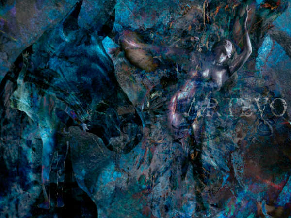 ಮತ್ತೊಂದು ಬೋಲ್ಡ್ ಚಿತ್ರದಲ್ಲಿ ವೀಣಾ