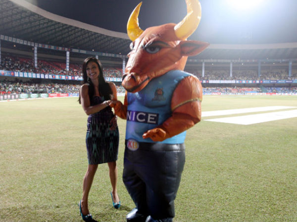 ಚೆನ್ನೈ ರೈನೋಸ್ ಎರಡು ಬಾರಿ ಚಾಂಪಿಯನ್ 