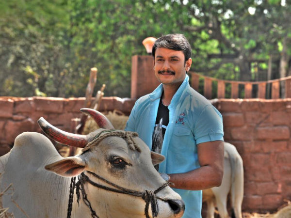 ಚಾಲೆಂಜಿಂಗ್ ಸ್ಟಾರ್ ದರ್ಶನ್ ಸಂಭ್ರಮ