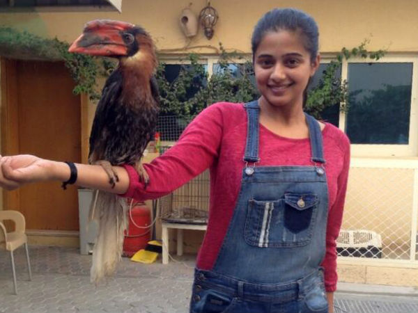 ಮೂಕ ಪ್ರಾಣಿಗಳ ಜೊತೆ ಅಮೂಲ್ಯ ಸಮಯ