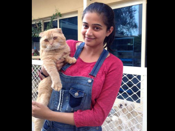 ಕ್ಯೂಟ್ ಗೆಳೆಯರನ್ನು ಪರಿಚಯಿಸಿದವರಿಗೆ ಥ್ಯಾಂಕ್ಸ್