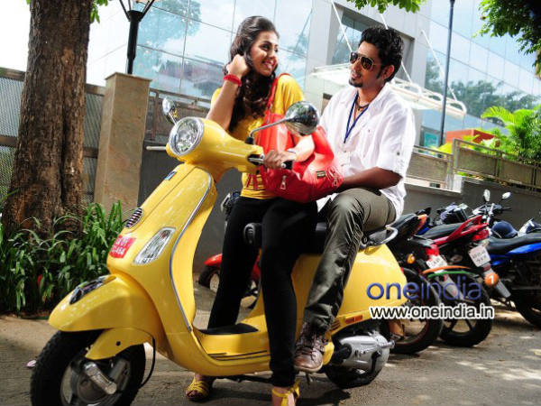 ಪ್ರಜ್ವಲ್ ದೇವರಾಜ್ ಜೊತೆ ನಿಕ್ಕಿ ಅಭಿನಯ