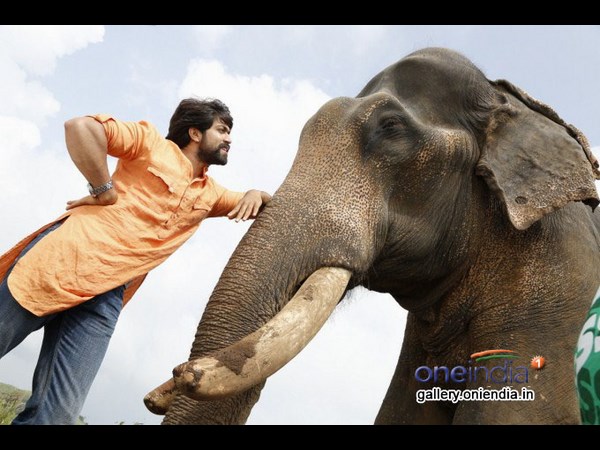 ಗಜಕೇಸರಿ ಮೇಲೆ 'ಯಶ'ಸ್ಸಿನ ಸವಾರಿ