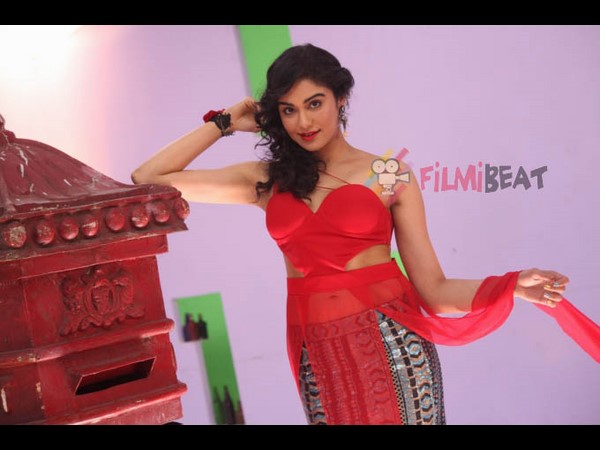 ಅದ್ದೂರಿತನದ ಚಿತ್ರ 