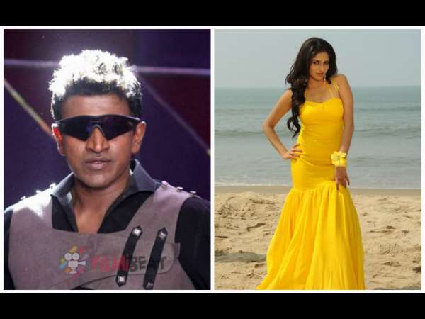 'ಚಕ್ರವ್ಯೂಹ' ಭೇದಿಸಲಿರುವ ರಚಿತಾ ರಾಮ್ 'ಚಕ್ರವ್ಯೂಹ' ಭೇದಿಸಲಿರುವ ರಚಿತಾ ರಾಮ್