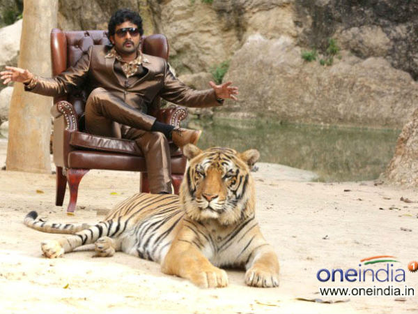 ನಟ ಶ್ರೀನಗರ ಕಿಟ್ಟಿ