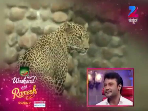 ಝೂನಲ್ಲಿ ಹಾಜರ್