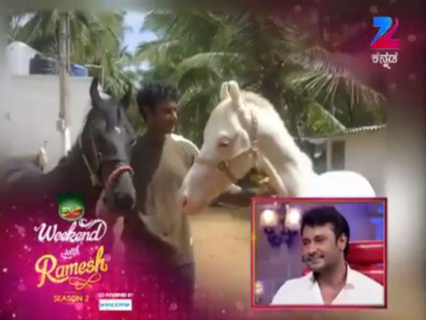 ಕುದುರೆ ಅಂದ್ರೆ ಇಷ್ಟ!