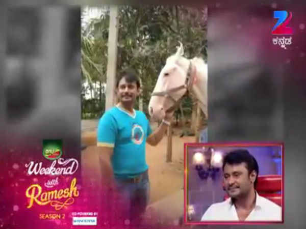 ಸ್ಟಾನ್ಲಿ - ಇಷ್ಟದ ಕುದುರೆ