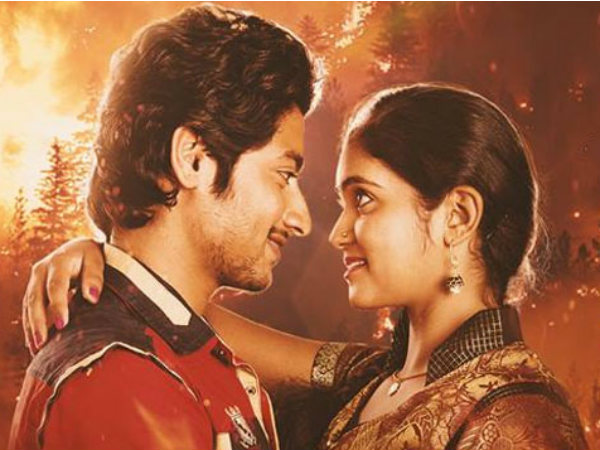 Director S.Narayan to direct 'Sairat' in Kannada