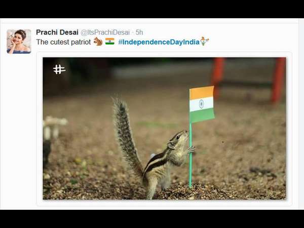 ನಟಿ ಪ್ರಾಚಿ ದೇಸಾಯಿ