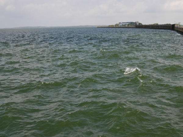 ಮನುಷ್ಯ ಕುಲಕ್ಕೆ ಆಪತ್ತು ತರುವ ನೀರಿನ ಸಮಸ್ಯೆ