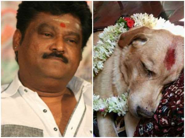 ಮೊಮ್ಮಗನಿಗೆ ನಾಯಿಯ ಹೆಸರು ಮೊಮ್ಮಗನಿಗೆ ನಾಯಿಯ ಹೆಸರು