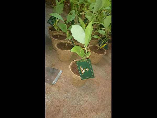 ನೀವು ಗಮನಿಸಬೇಕಾದ ಸಂಗತಿ...