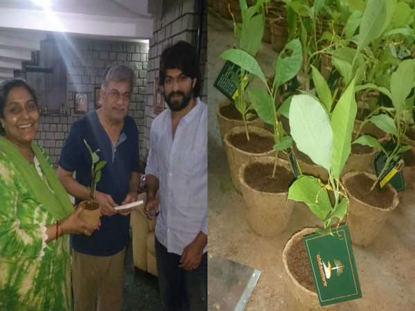 ಯಶ್ 'ಎಲೆ' ಕರೆಯೋಲೆ