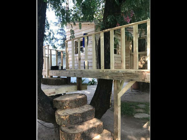 A tree house for Shahrukh Khans's three year old son. 