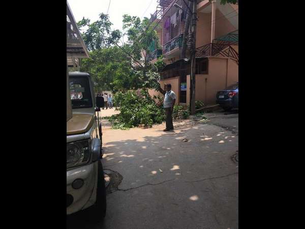 ಮರ ಕಡಿದವರು ರಾಕ್ಷಸರು ಮರ ಕಡಿದವರು ರಾಕ್ಷಸರು