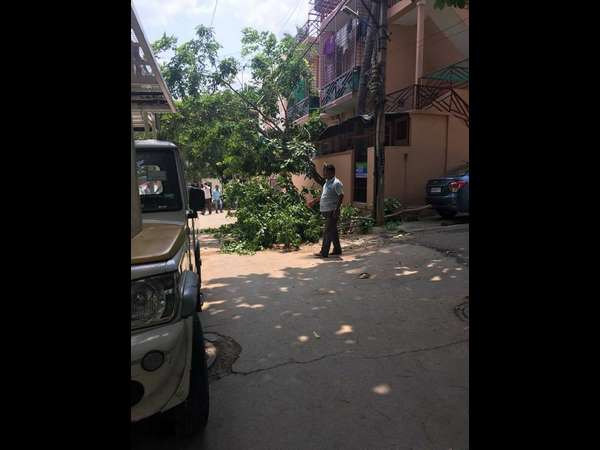 ಮರ ಕಡಿದಿರುವುದಕ್ಕೆ ತಂದೆ ಕಳೆದುಕೊಂಡಷ್ಟೇ ನೊಂದ ಜಗ್ಗೇಶ್ ಮರ ಕಡಿದಿರುವುದಕ್ಕೆ ತಂದೆ ಕಳೆದುಕೊಂಡಷ್ಟೇ ನೊಂದ ಜಗ್ಗೇಶ್