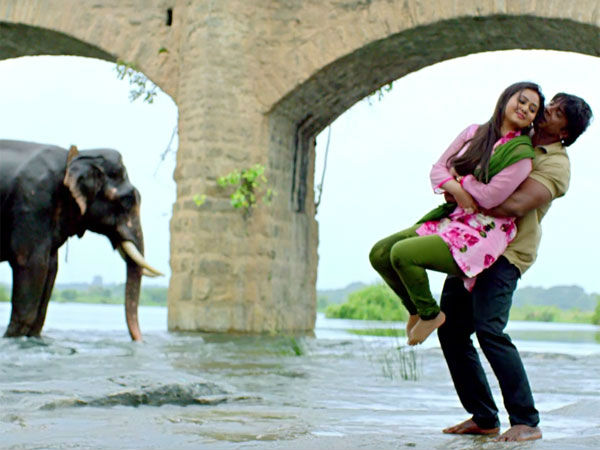 'Gandhadagudi' Wannabe: Bangalore Mirror