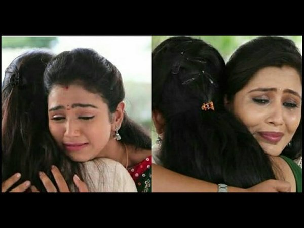 ಕಾಡುವ ಕುತೂಹಲ